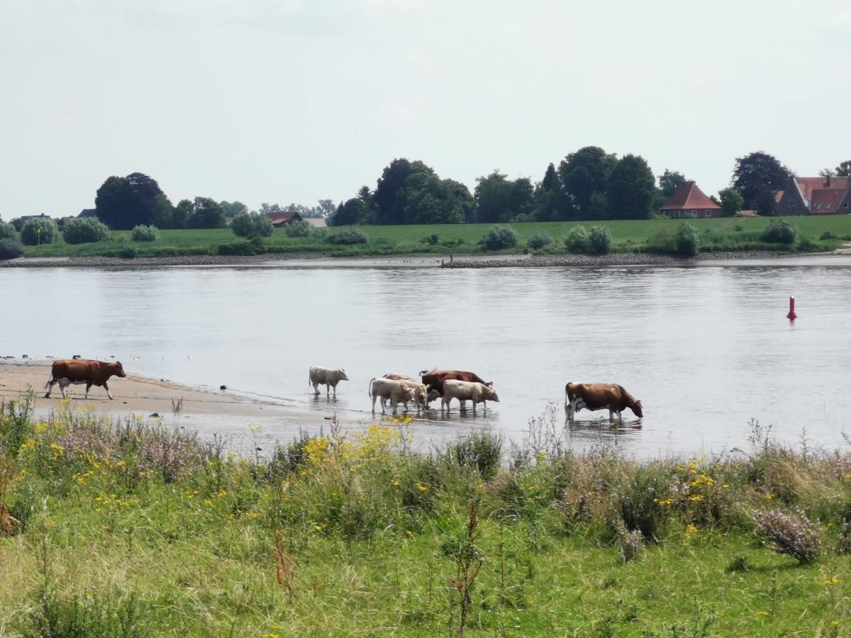 Haus Am Deich 47 Stilvolles An Der Elbe In Stadtnaehe Dom wakacyjny *