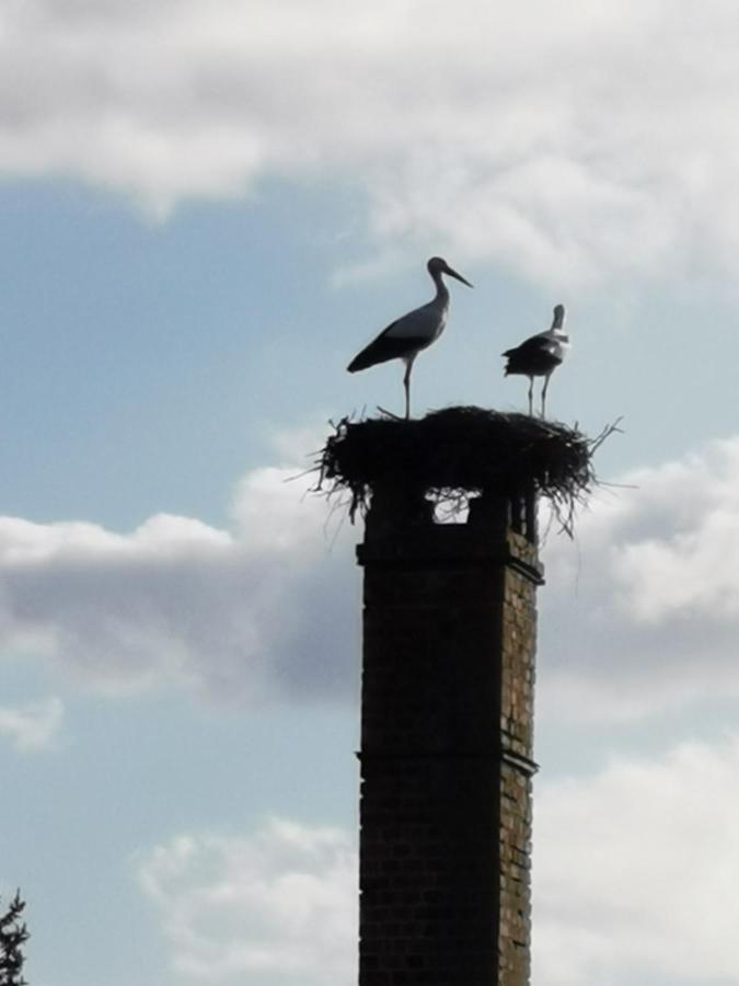 Haus Am Deich 47 Stilvolles An Der Elbe In Stadtnaehe Dom wakacyjny Hamburg