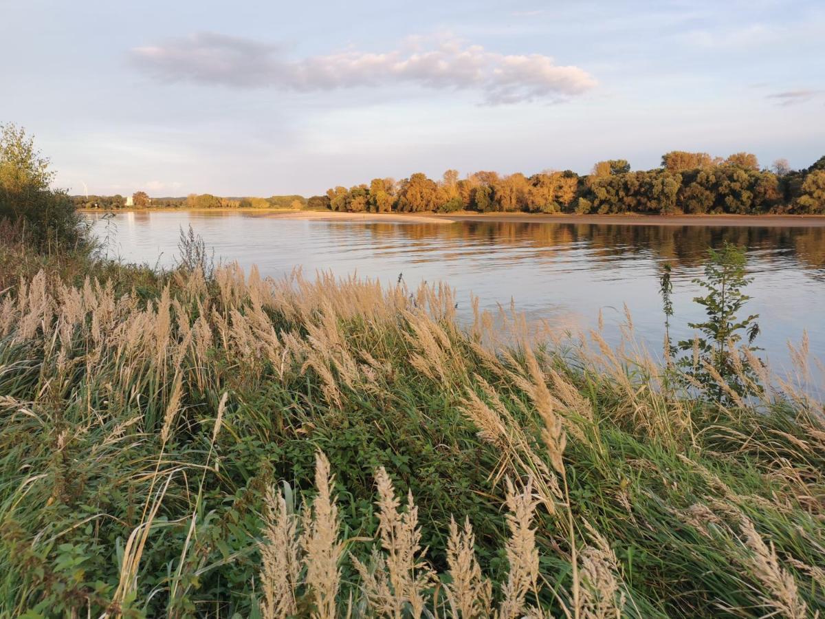 Haus Am Deich 47 Stilvolles An Der Elbe In Stadtnaehe Dom wakacyjny *